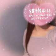 ヒメ日記 2025/04/23 18:59 投稿 さくら 櫻女学院