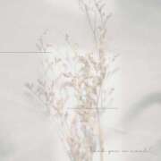 水野 ましろ 21:30〜キャンセル出ました💡 テレジア東京