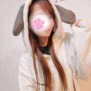 ヒメ日記 2025/12/11 13:46 投稿 新木かすみ 華椿