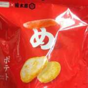 ヒメ日記 2025/04/20 12:09 投稿 さと 香川高松ちゃんこ