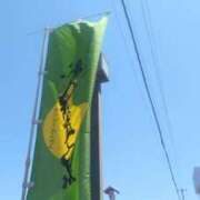 ヒメ日記 2025/04/29 13:10 投稿 さと 香川高松ちゃんこ