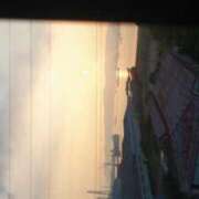 ヒメ日記 2025/07/09 07:39 投稿 さと 香川高松ちゃんこ