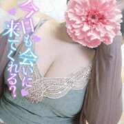 ヒメ日記 2025/07/13 14:09 投稿 さと 香川高松ちゃんこ