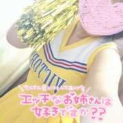 ヒメ日記 2025/10/31 12:09 投稿 さと 香川高松ちゃんこ