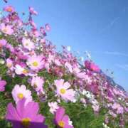 ヒメ日記 2025/11/02 10:49 投稿 さと 香川高松ちゃんこ