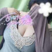 ヒメ日記 2025/11/04 11:59 投稿 さと 香川高松ちゃんこ