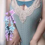 ヒメ日記 2025/11/06 10:29 投稿 さと 香川高松ちゃんこ