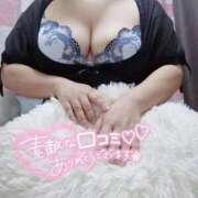 ヒメ日記 2025/11/12 22:06 投稿 さと 香川高松ちゃんこ