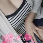 ヒメ日記 2025/11/15 10:59 投稿 さと 香川高松ちゃんこ