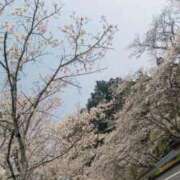 ヒメ日記 2026/04/02 18:29 投稿 さと 香川高松ちゃんこ