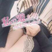 ヒメ日記 2026/04/10 08:49 投稿 さと 香川高松ちゃんこ