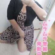 ヒメ日記 2026/04/11 12:29 投稿 さと 香川高松ちゃんこ