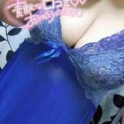 ヒメ日記 2026/04/15 16:59 投稿 さと 香川高松ちゃんこ