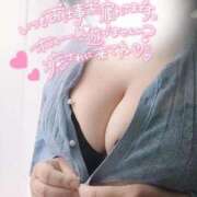 ヒメ日記 2026/04/17 08:09 投稿 さと 香川高松ちゃんこ