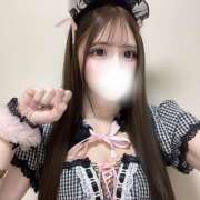 ヒメ日記 2025/04/12 14:46 投稿 ミルク 姫路ラビット