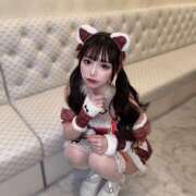 ヒメ日記 2025/04/16 00:24 投稿 ミルク 姫路ラビット