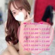 ヒメ日記 2025/04/19 22:15 投稿 めい 逆バニーメンズエステ とろとろオイルSPA