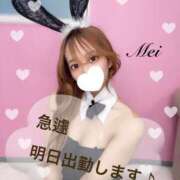 ヒメ日記 2025/07/05 17:33 投稿 めい 逆バニーメンズエステ とろとろオイルSPA