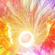 ヒメ日記 2025/05/13 09:08 投稿 もみじ 一夜の華