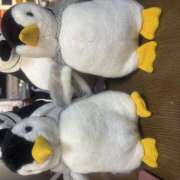 もみじ お早うです💕💕 一夜の華