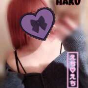 ヒメ日記 2025/04/17 17:19 投稿 ハク マドンナ(仙台)