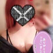 ヒメ日記 2025/04/18 08:03 投稿 ハク マドンナ(仙台)