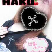 ヒメ日記 2025/04/18 12:34 投稿 ハク マドンナ(仙台)