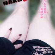 ヒメ日記 2025/04/18 22:18 投稿 ハク マドンナ(仙台)