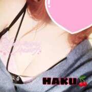 ヒメ日記 2025/04/21 01:48 投稿 ハク マドンナ(仙台)