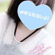 ヒメ日記 2025/04/24 18:33 投稿 ハク マドンナ(仙台)