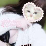 ヒメ日記 2025/04/25 21:34 投稿 ハク マドンナ(仙台)