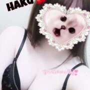 ヒメ日記 2025/04/26 02:03 投稿 ハク マドンナ(仙台)