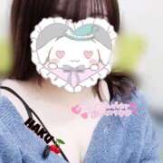 ヒメ日記 2025/04/27 00:33 投稿 ハク マドンナ(仙台)