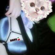 ヒメ日記 2025/04/30 15:48 投稿 ハク マドンナ(仙台)