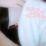 ヒメ日記 2025/05/01 08:19 投稿 ハク マドンナ(仙台)