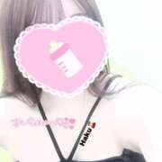 ヒメ日記 2025/05/01 12:19 投稿 ハク マドンナ(仙台)