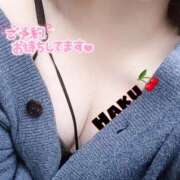 ヒメ日記 2025/05/04 08:03 投稿 ハク マドンナ(仙台)