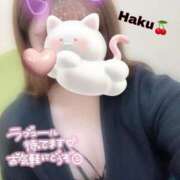 ヒメ日記 2025/05/08 16:57 投稿 ハク マドンナ(仙台)