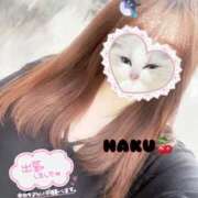 ヒメ日記 2025/05/14 08:18 投稿 ハク マドンナ(仙台)