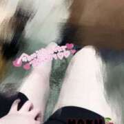 ヒメ日記 2025/05/14 10:48 投稿 ハク マドンナ(仙台)