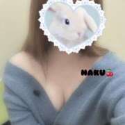 ヒメ日記 2025/05/18 11:12 投稿 ハク マドンナ(仙台)