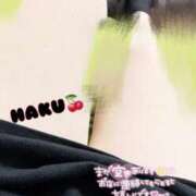 ヒメ日記 2025/05/18 18:04 投稿 ハク マドンナ(仙台)