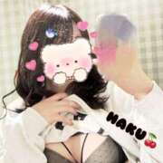 ヒメ日記 2025/05/20 20:27 投稿 ハク マドンナ(仙台)