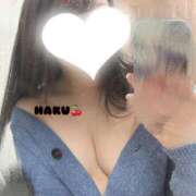 ヒメ日記 2025/05/22 10:19 投稿 ハク マドンナ(仙台)