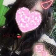 ヒメ日記 2025/05/23 23:19 投稿 ハク マドンナ(仙台)