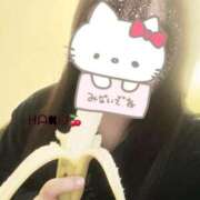 ヒメ日記 2025/05/26 00:48 投稿 ハク マドンナ(仙台)