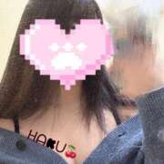 ヒメ日記 2025/05/26 08:18 投稿 ハク マドンナ(仙台)