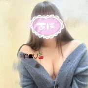 ヒメ日記 2025/05/28 00:57 投稿 ハク マドンナ(仙台)