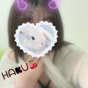 ヒメ日記 2025/05/31 08:12 投稿 ハク マドンナ(仙台)