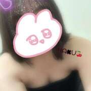 ヒメ日記 2025/05/31 12:14 投稿 ハク マドンナ(仙台)